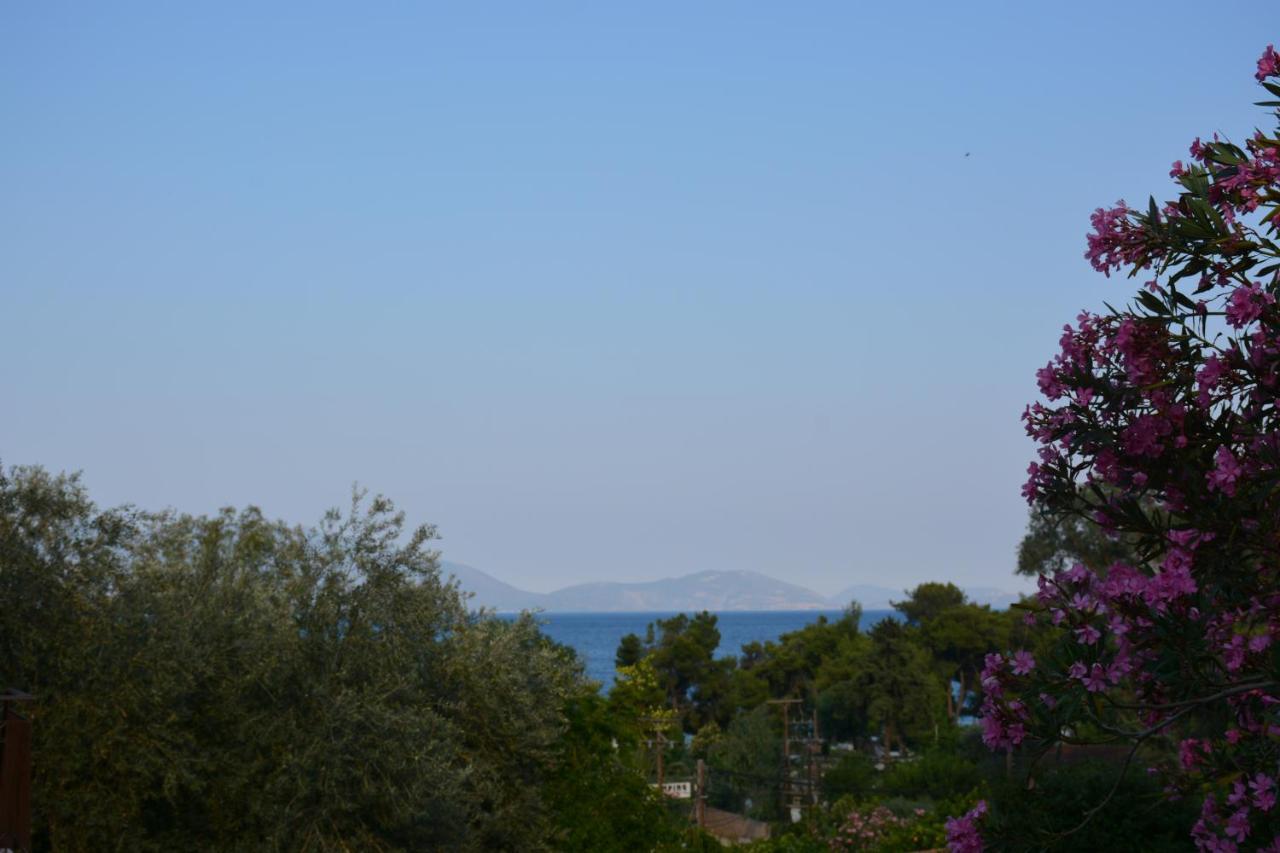 Aristotelis Epidaurus Exteriér fotografie